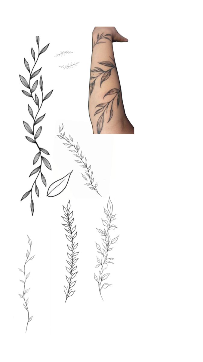 an arm with tattoos on it next to a drawing of a plant and bird's wing