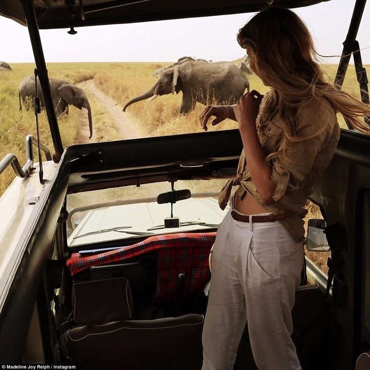 a woman standing in the back of a truck looking at an elephant and other animals