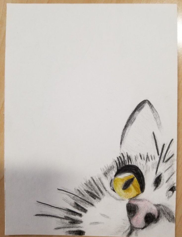 a drawing of a cat's face with yellow eyes