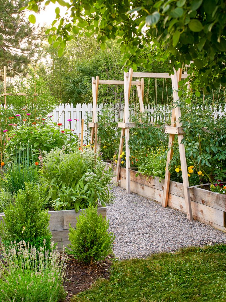 a garden filled with lots of different types of plants