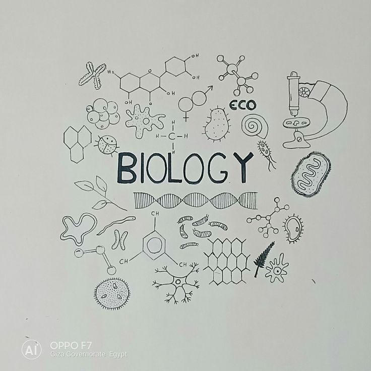 the word biology is surrounded by doodles of different types of things in black and white