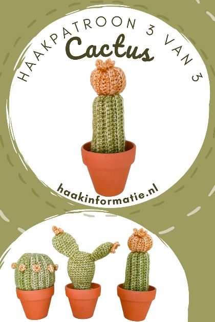 three small crocheted cacti in pots with the words happatron's van 3