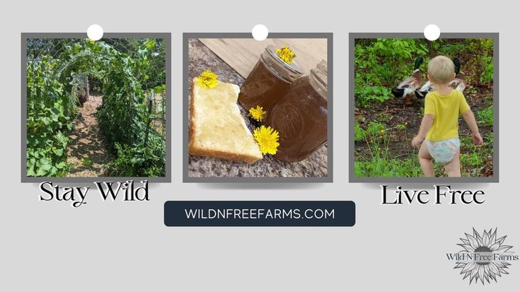 WildNFreeFarms | Homestead, Scratch Cooking, Sourdough, Gardening