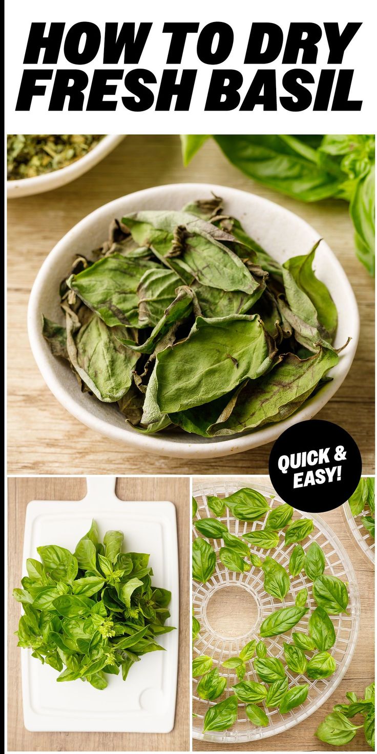 how to dry fresh basil in a bowl with instructions on how to use the basil