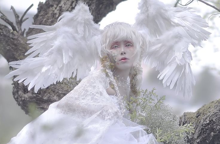 a woman with white hair and angel wings on her head is sitting in a tree