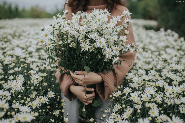 a woman holding a bouquet of daisies in a field