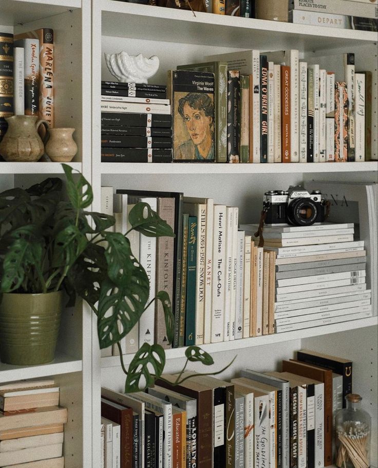 a bookshelf filled with lots of books next to a green potted plant