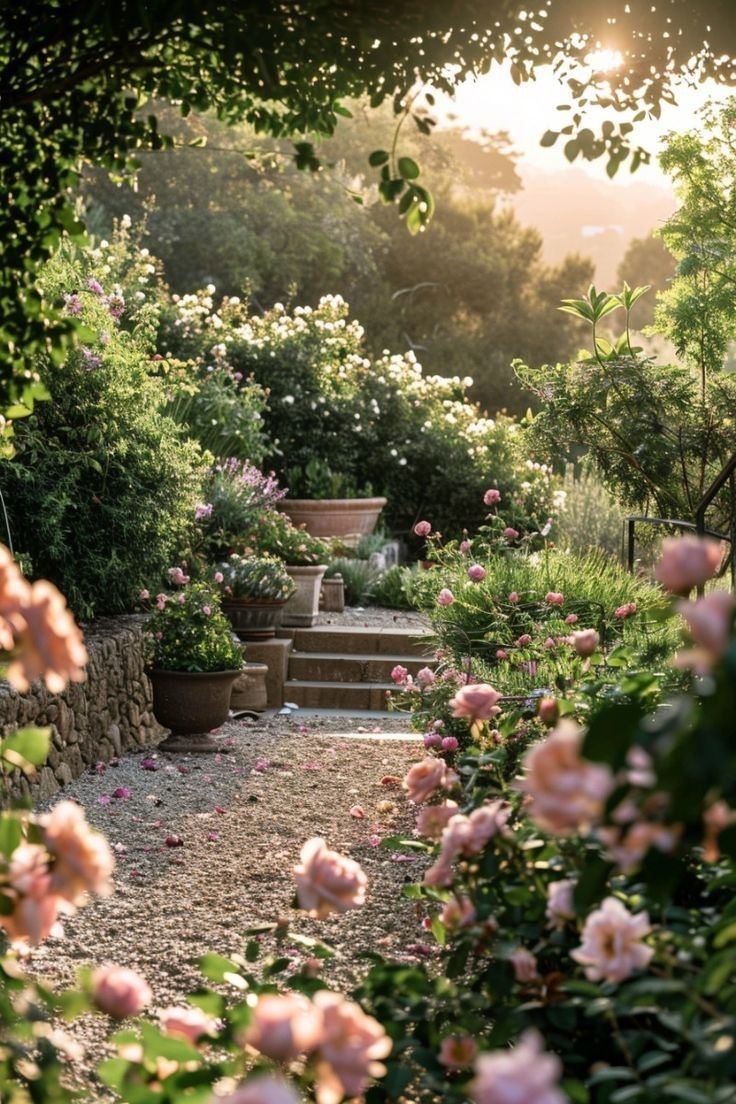 a garden filled with lots of pink flowers