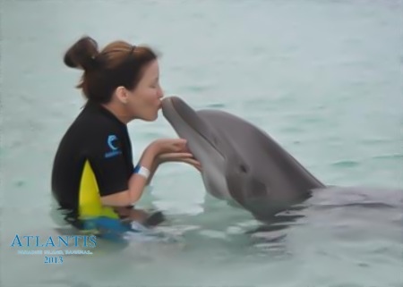 a woman kissing a dolphin in the water