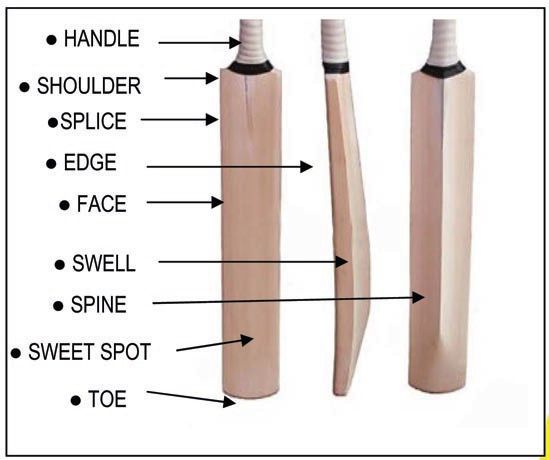 the parts of a wooden cricket bat