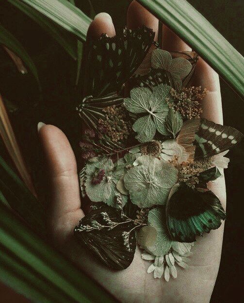 a person's hand holding several butterflies and flowers