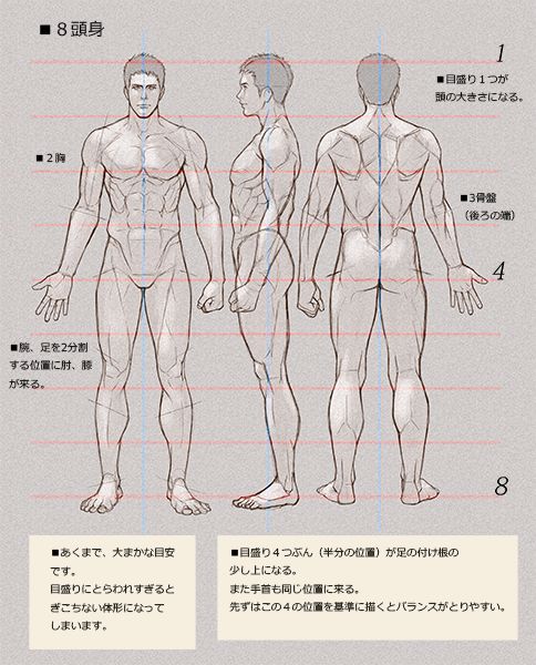 an image of the human body in three different poses, with instructions to draw it