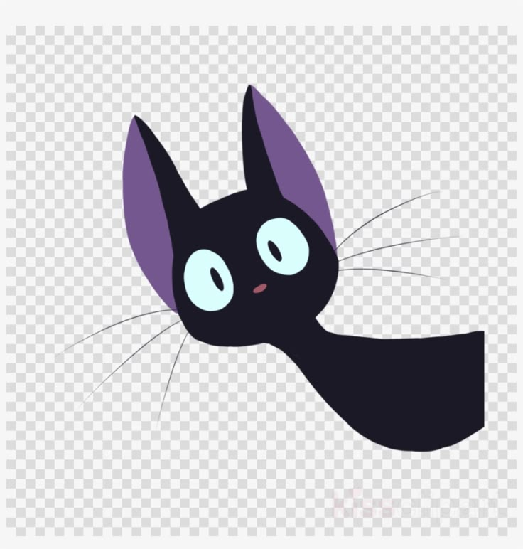 a black cat with blue eyes and long tail, looking up at the camera transparent background