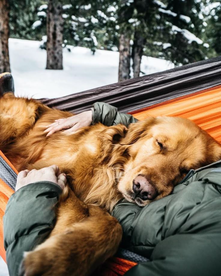 a person laying in a hammock with a dog sleeping on it's back