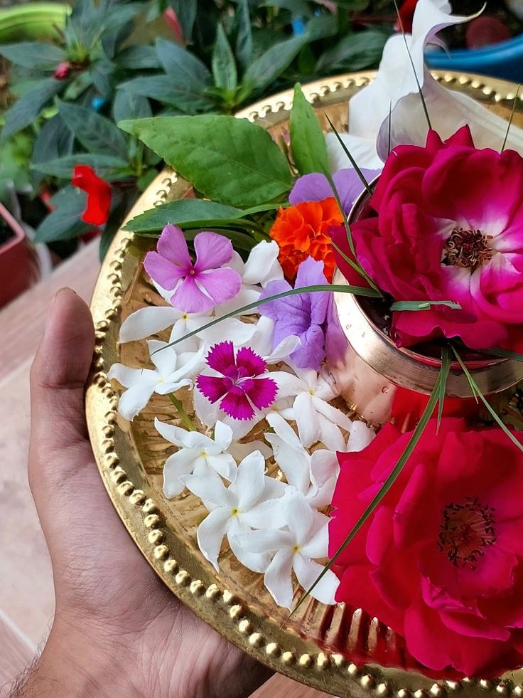 a person holding a plate with flowers on it in front of some potted plants