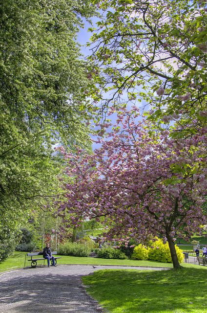 two people sitting on a bench in the middle of a park with trees and flowers