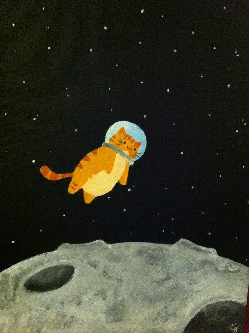 an orange cat is flying over the moon