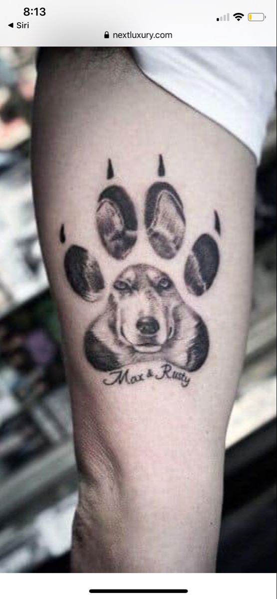 a dog's paw is shown with the words me boy on it