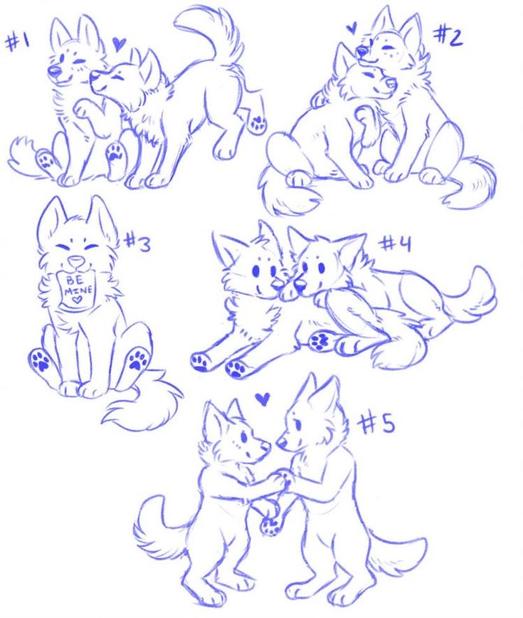 some drawings of dogs and cats with numbers in the bottom right hand corner, including one dog