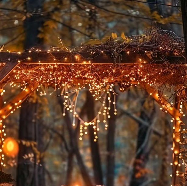 a gazebo covered in fairy lights surrounded by trees