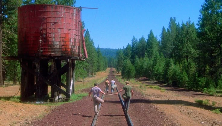 two dogs are running across the dirt road