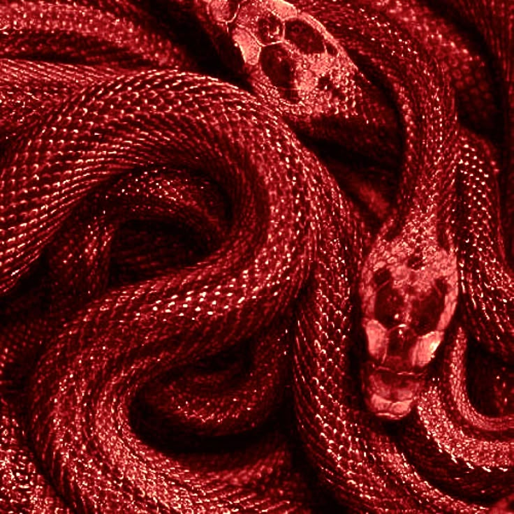 a close up view of a red snake skin