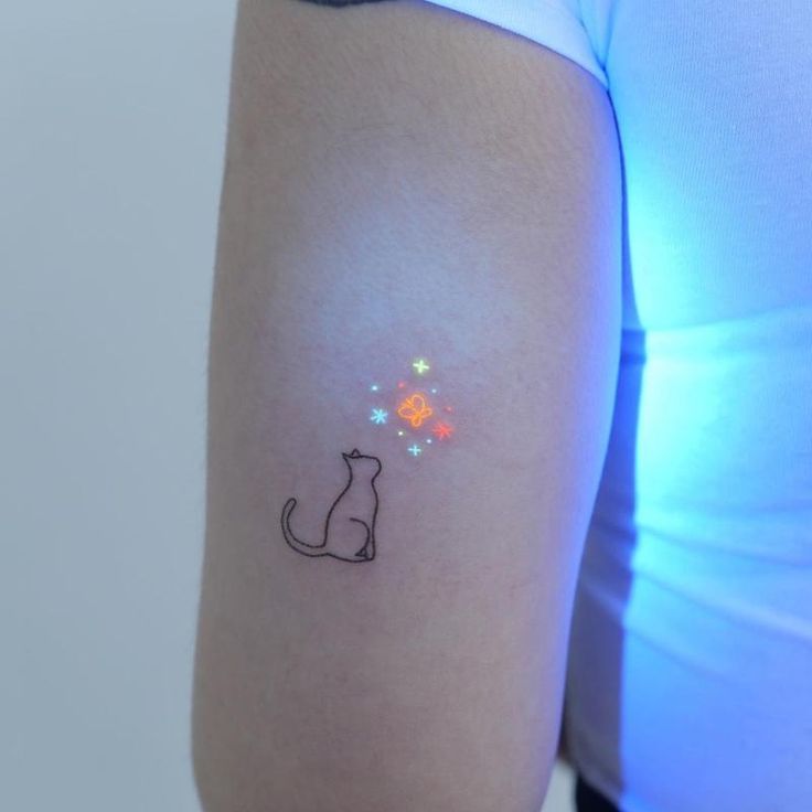 a woman with a cat tattoo on her arm and the light behind her is shining