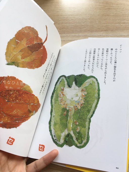 an open book with pictures of leaves on the pages and writing in chinese characters below