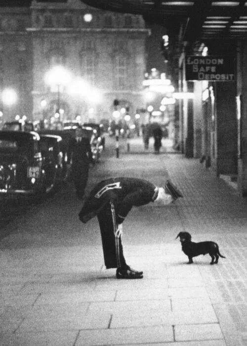 a man standing next to a small dog on a sidewalk near a building at night