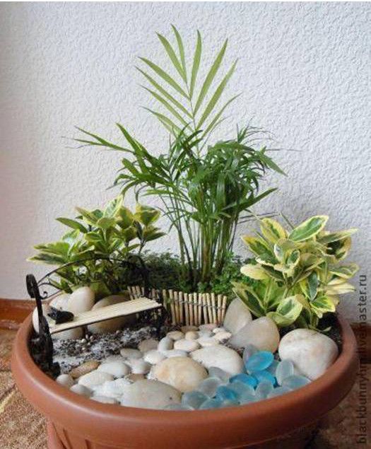 a potted plant with rocks and plants in it