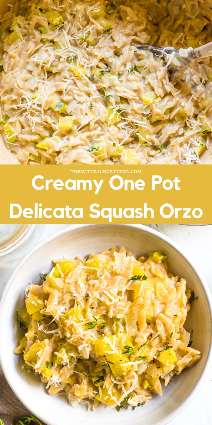 creamy one pot delicata squash orzo