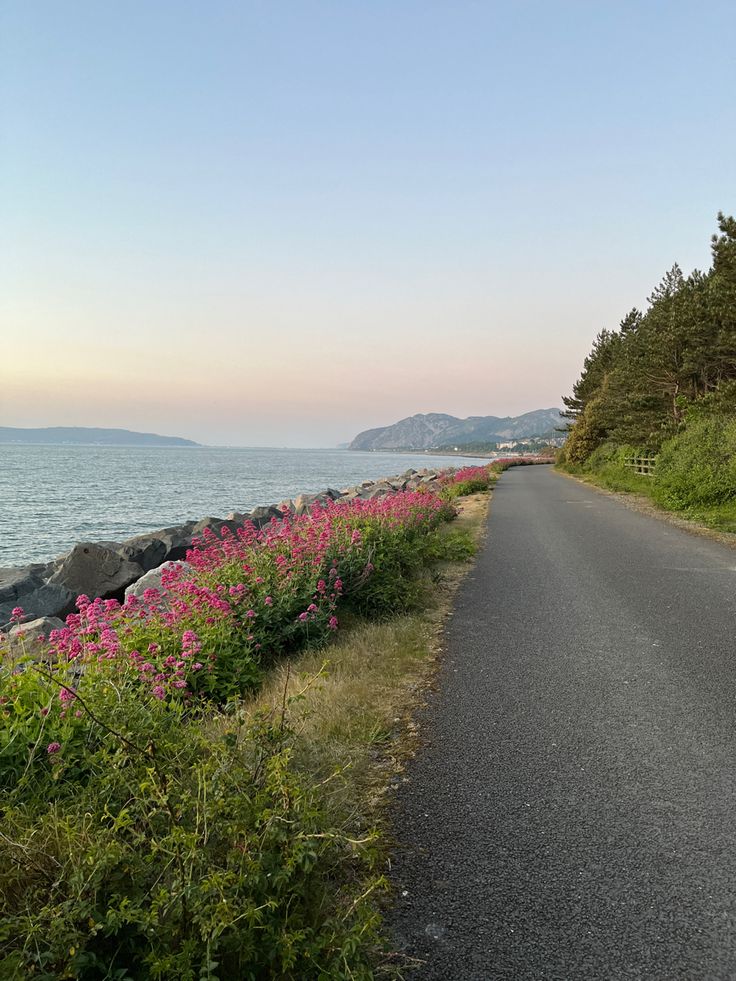 an empty road next to the ocean with pink flowers