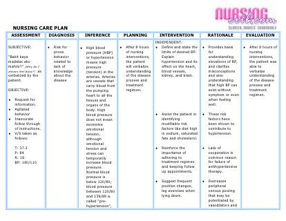 the nursing care plan is shown in this image