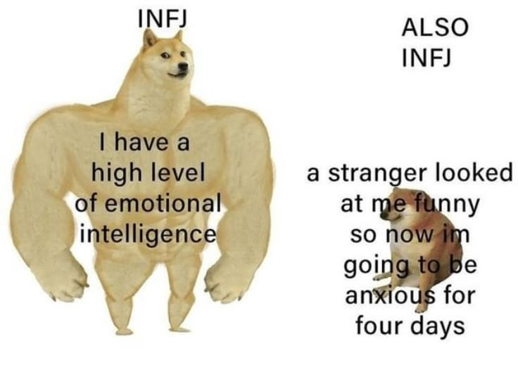 Entp X Infj Memes, Infj Meme Funny, Infj Meme, Infj Core, Personalidad Infj, Infj Humor, Infj Problems, Infj Psychology, Infj Things