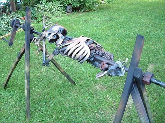 a skeleton laying on top of a piece of metal in the grass next to a tripod