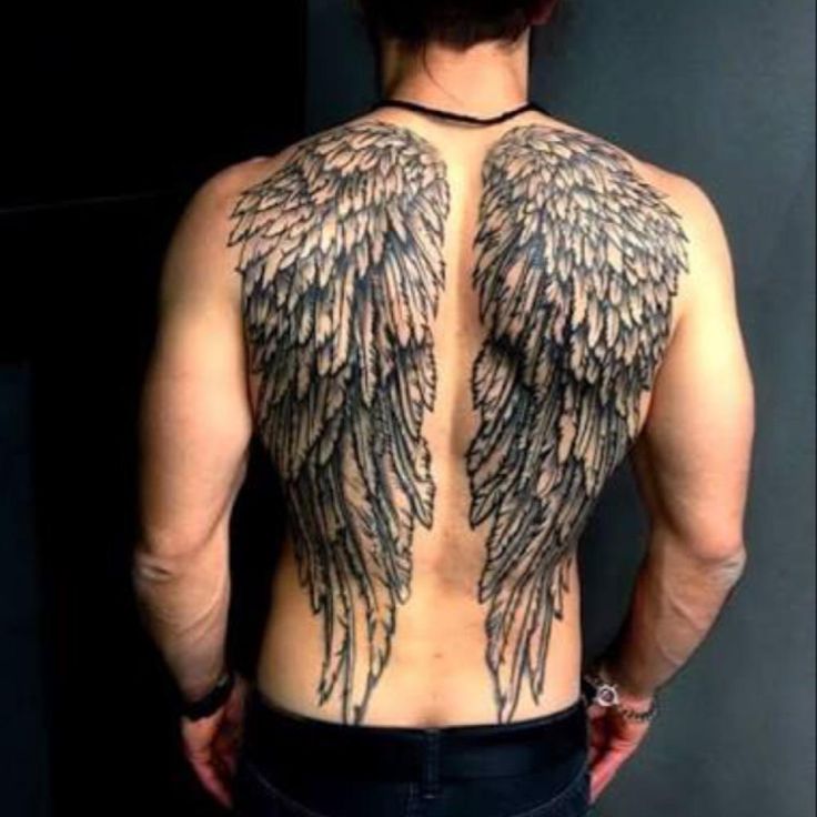 the back of a man with large wings on his body and chest, showing it's upper part