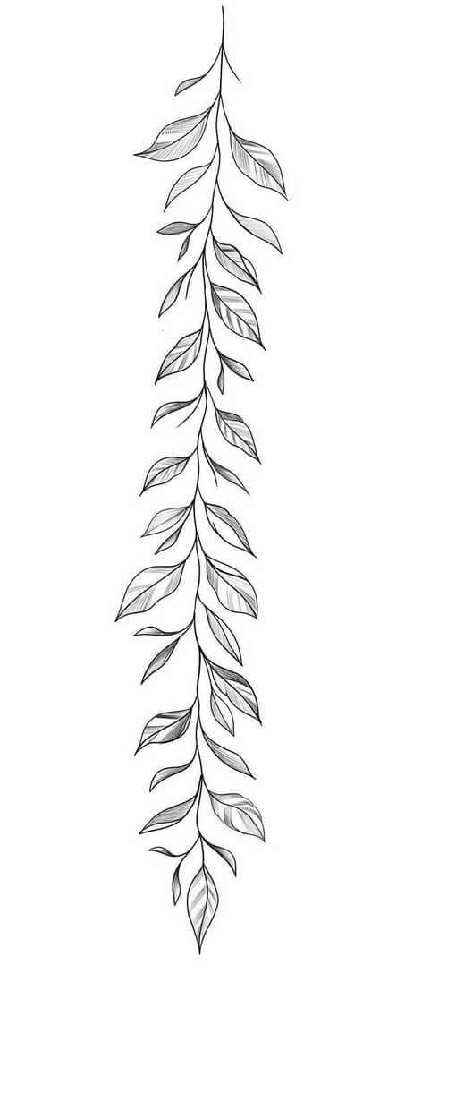 a line drawing of leaves on a white background