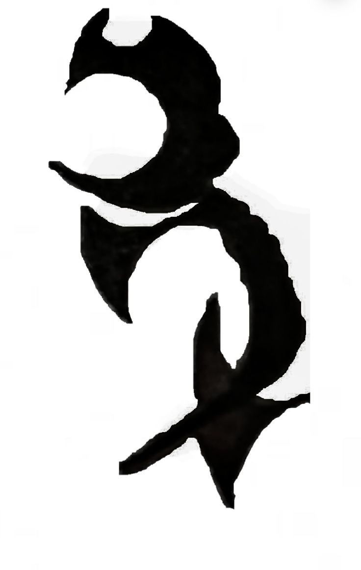 a black and white photo of the letter g in chinese calligraphy with birds flying around it