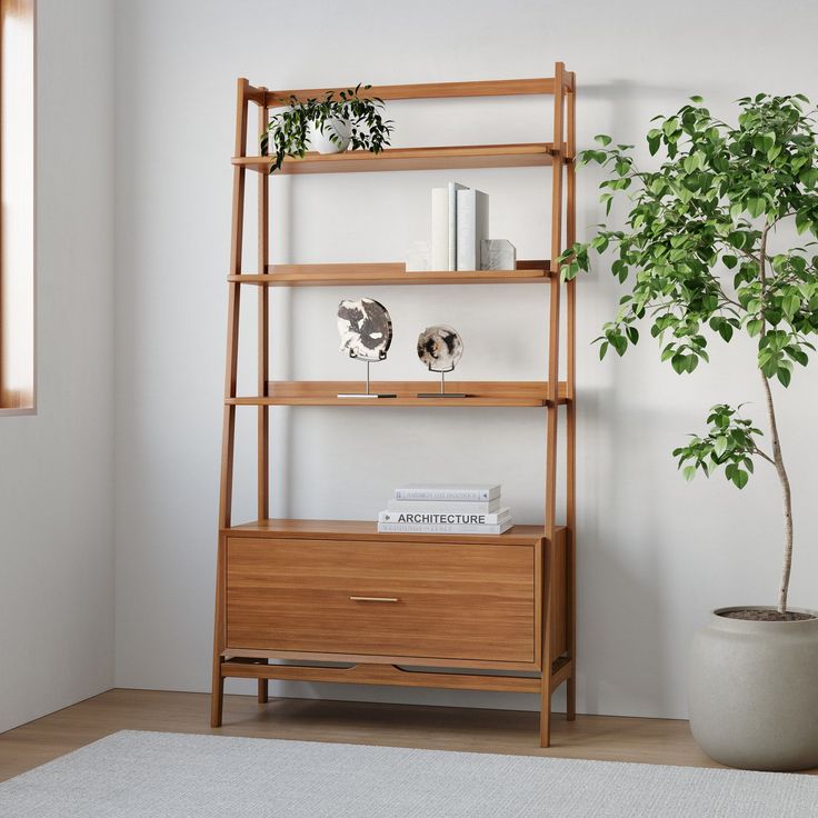 a wooden shelf next to a potted plant in a living room with white walls