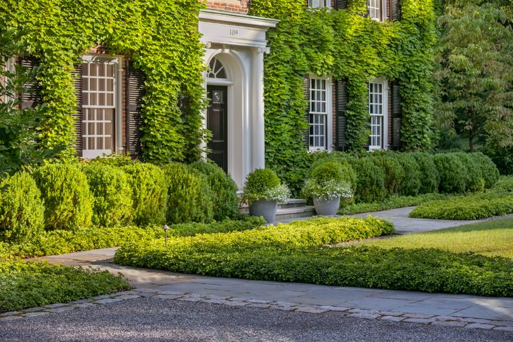 a large house covered in lots of green plants and bushes next to a sidewalk with potted plants on each side