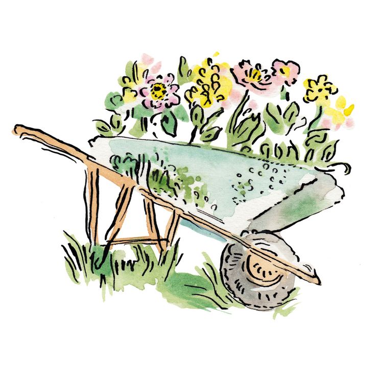 a drawing of a wheelbarrow with flowers in the background