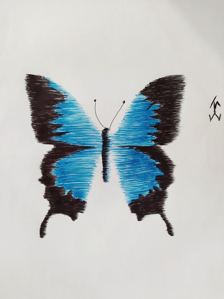 a blue and black butterfly flying in the sky