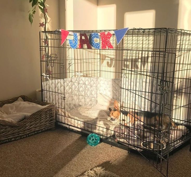 a dog laying in its cage on the floor