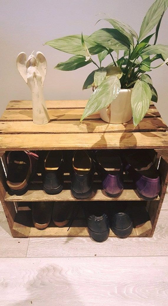 a potted plant sitting on top of a wooden shelf filled with pairs of shoes