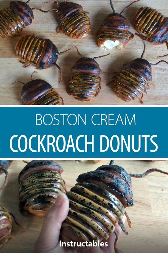 the boston cream cockroach donuts are stuffed with chocolate