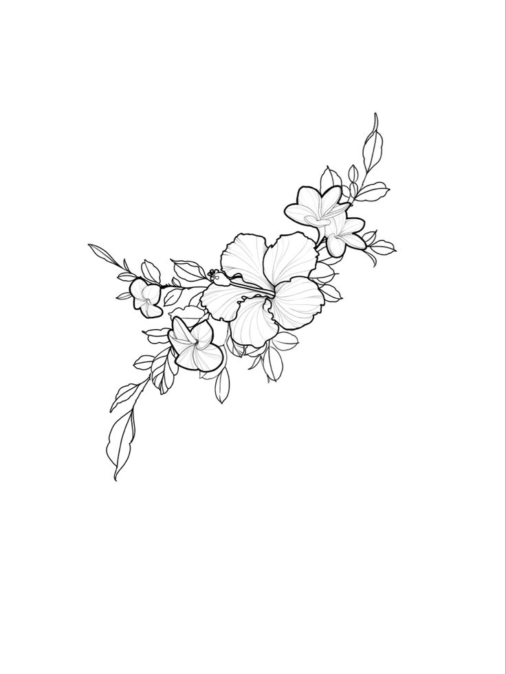 a line drawing of flowers on a white background