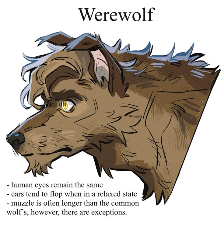 a drawing of a dog with the words werewolves on it's forehead and an image of a wolf's head