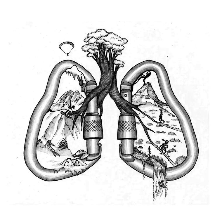 an image of the lungs with trees and mountains in it, as well as other things