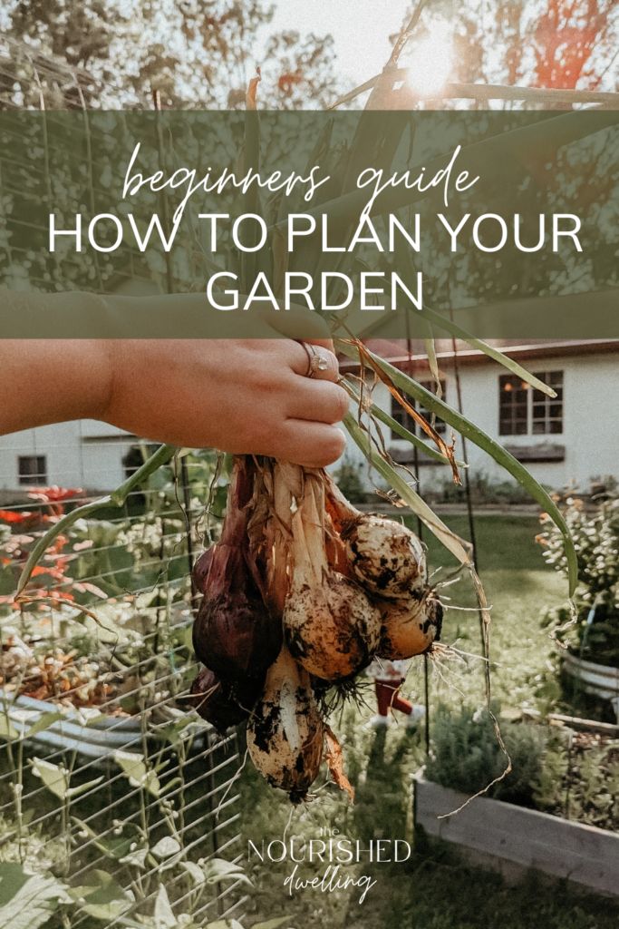 someone holding up some kind of plant in their hand with the words beginner's guide how to plan your garden