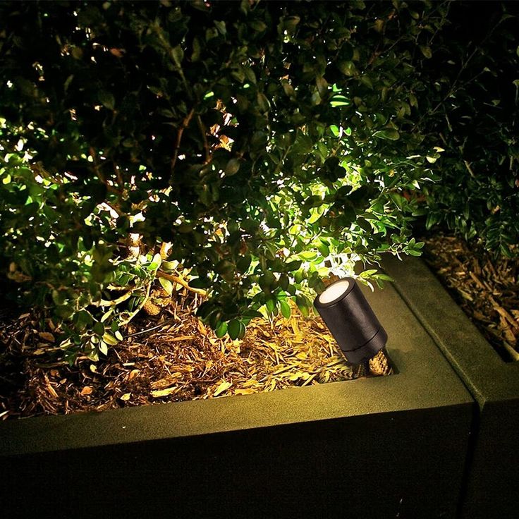 a black trash can sitting in the middle of some bushes